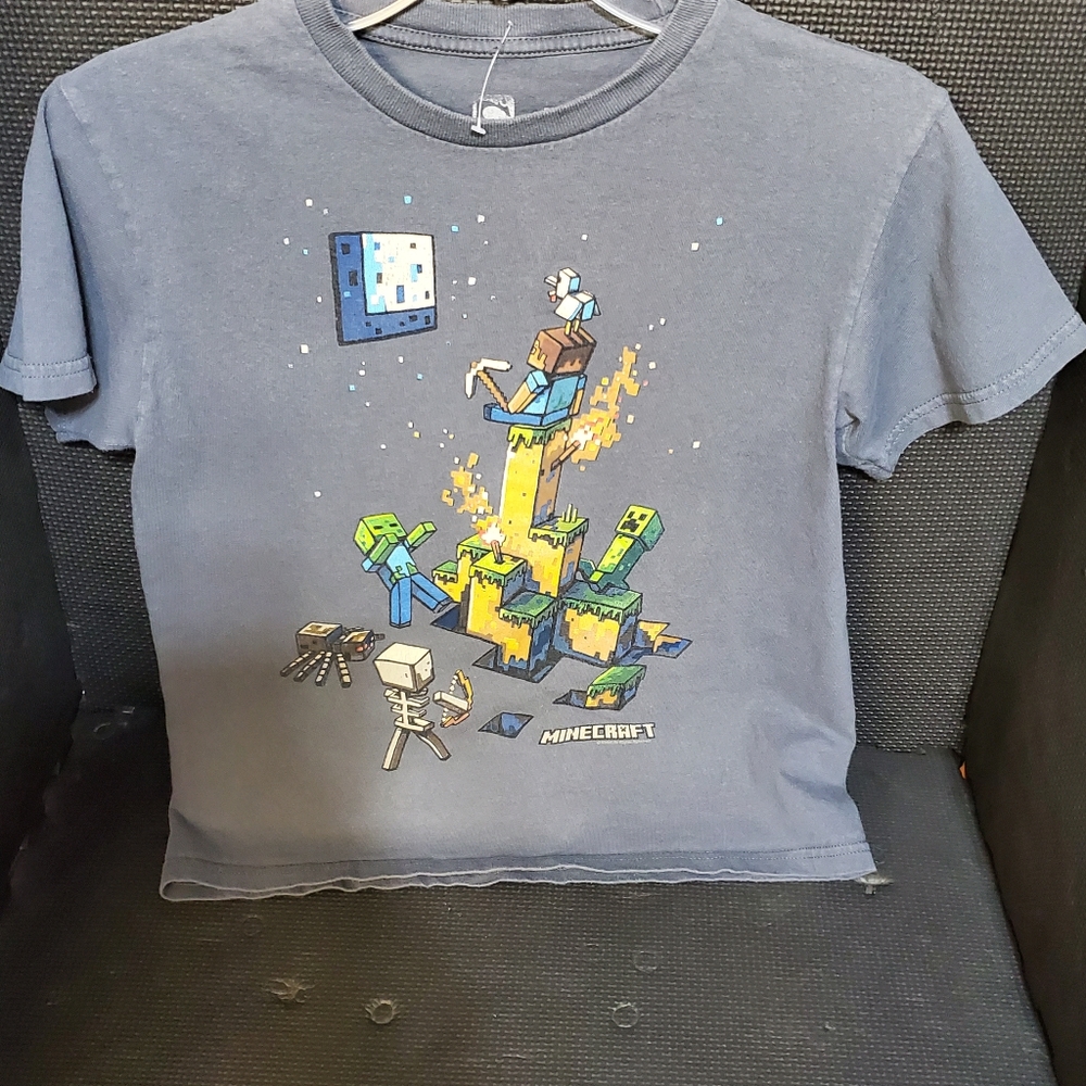 Minecraft Boys Collectible Shirt